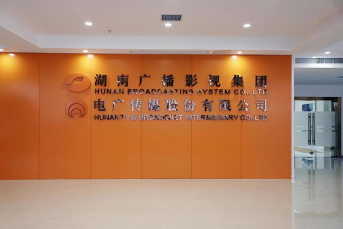 電廣傳媒上半年凈利潤(rùn)4.71億創(chuàng)紀(jì)錄，藝術(shù)策劃與內(nèi)容生態(tài)協(xié)同發(fā)展成亮點(diǎn)